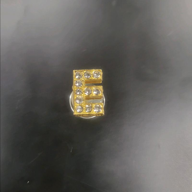 Gold Platted Cubic Zirconia Croc Charms Letters (A-Z)